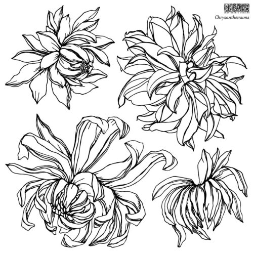 IOD Stempel Chrysanthemum Iron Orchid Designs